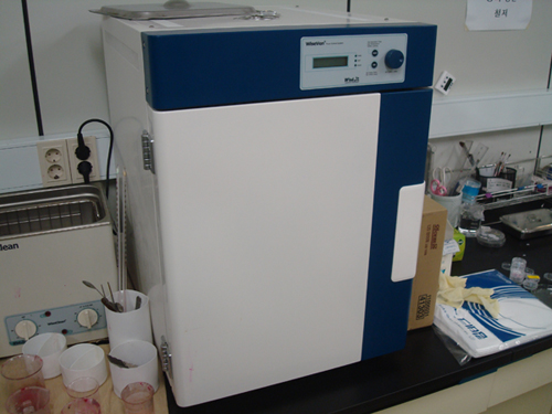 Convection oven