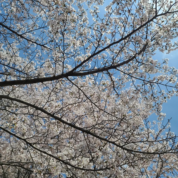 사진 3