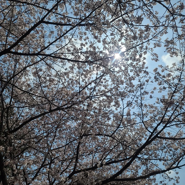 사진 4