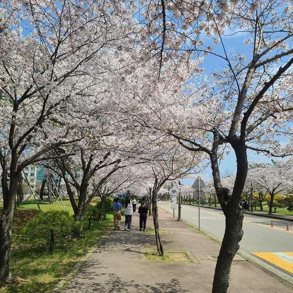 사진 2