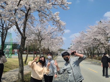 2022 4월 벚꽃길 산책