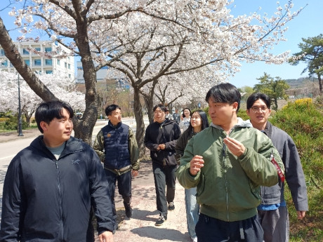 2026년 4월 벚꽃길 산책