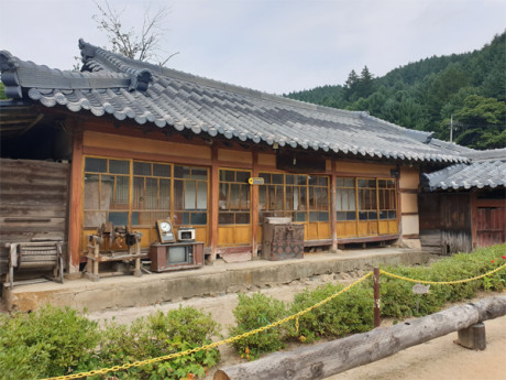 2019하계 동해MT